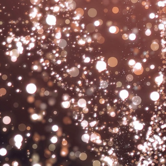 Meet your Posher, Holly - Picture 1 of 1